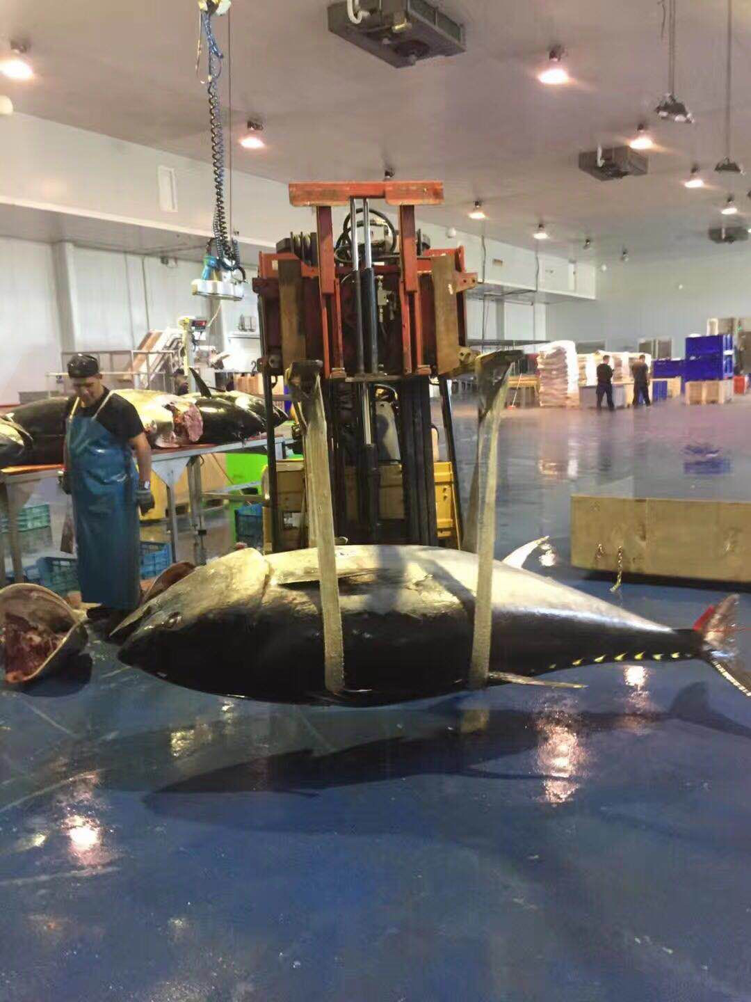 1615373316390721.png 1.png